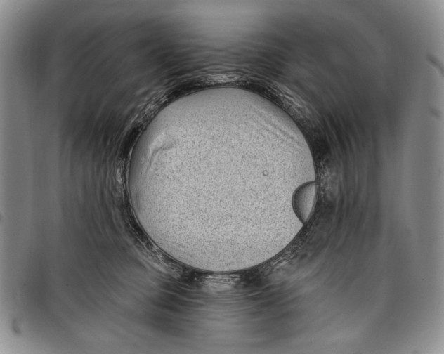 X0000097970373200804141058