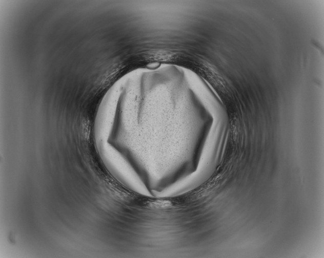 X0000097970374200804141058