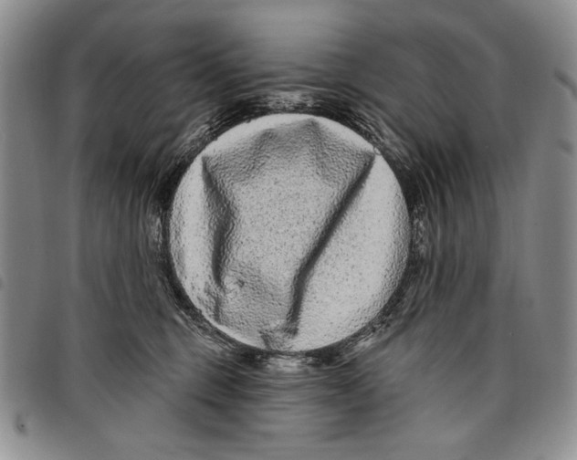 X0000097970375200804141058