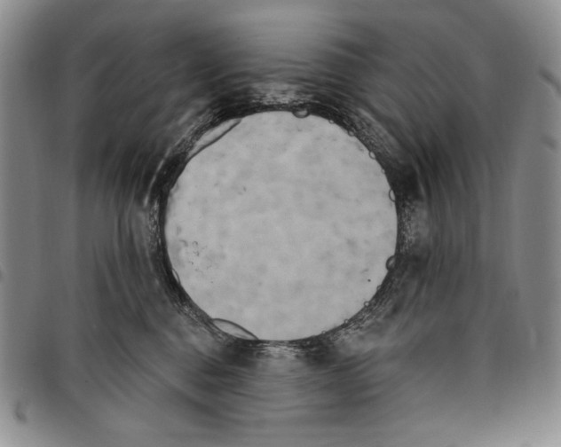 X0000097970376200804141058