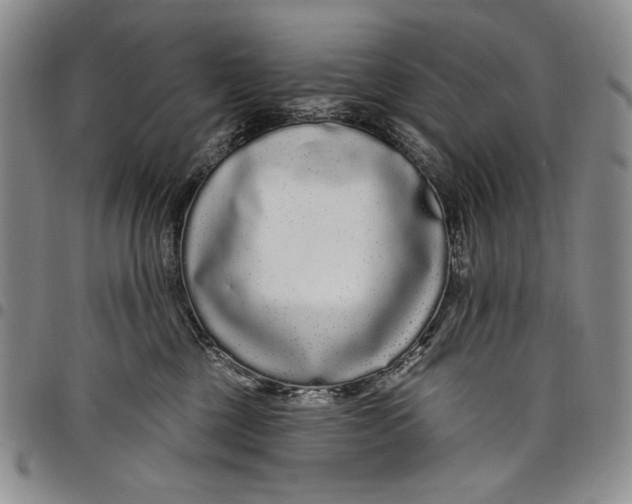 X0000097970377200804141058