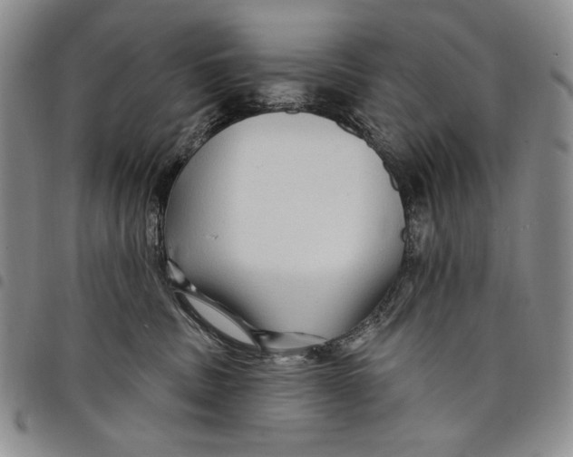 X0000097970379200804141058