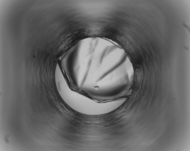 X0000097970380200804141058