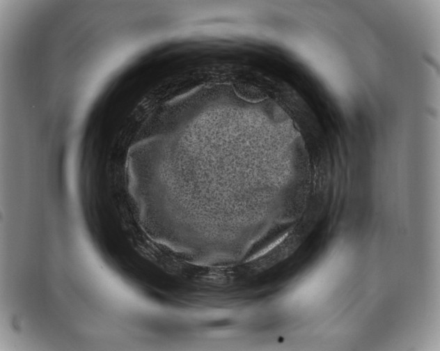 X0000097970383200804141058