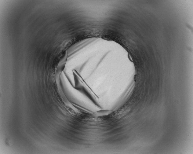 X0000097970384200804141058