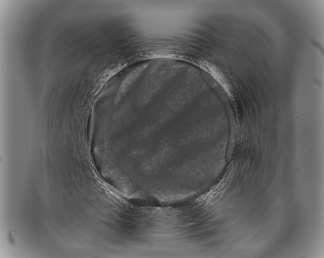X0000097970385200804141058