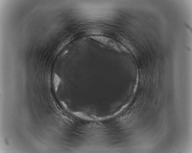 X0000097970386200804141058