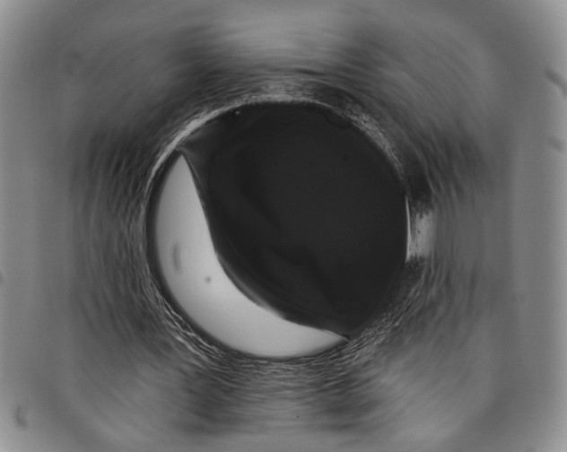 X0000097970387200804141058