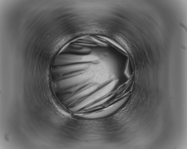 X0000097970389200804141058