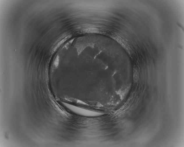 X0000097970390200804141058