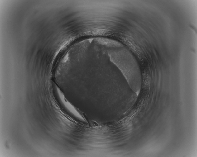 X0000097970392200804141058
