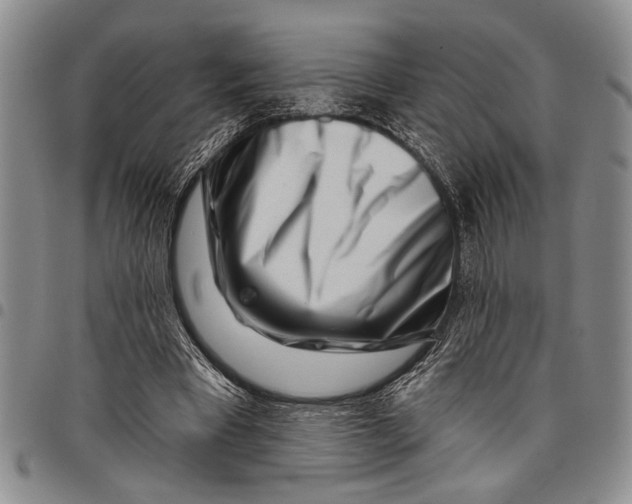 X0000097970393200804141058
