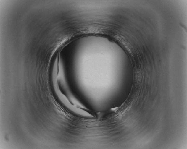 X0000097970395200804141058