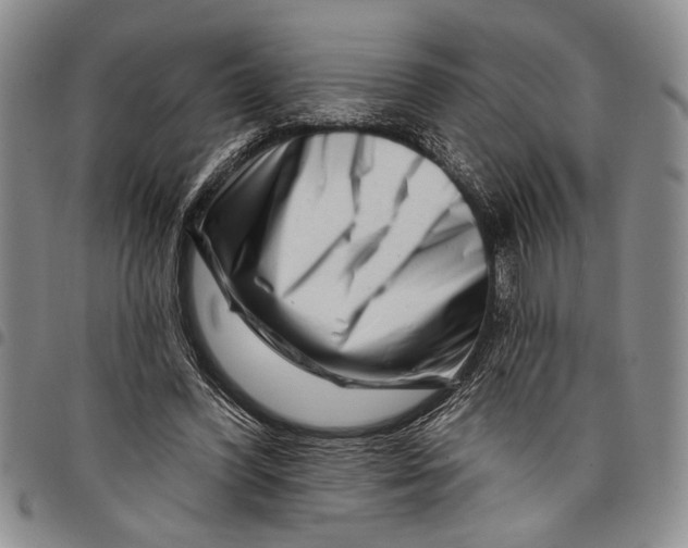 X0000097970396200804141058