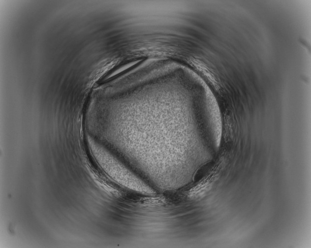 X0000097970398200804141057