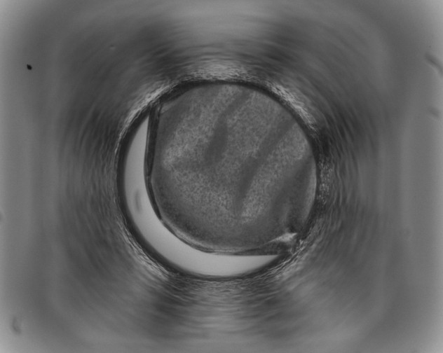 X0000097970399200804141057