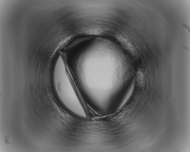 X0000097970400200804141057