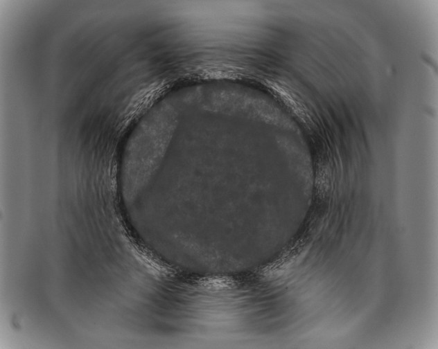 X0000097970402200804141057