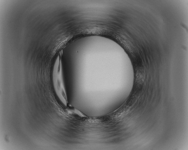 X0000097970403200804141057