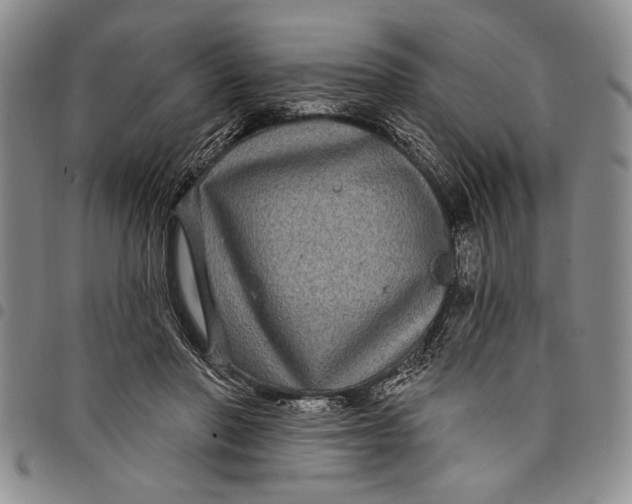 X0000097970406200804141057