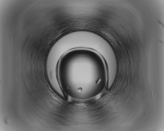 X0000097970409200804141057