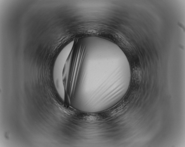 X0000097970412200804141057