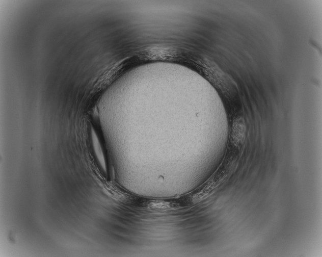 X0000097970413200804141057