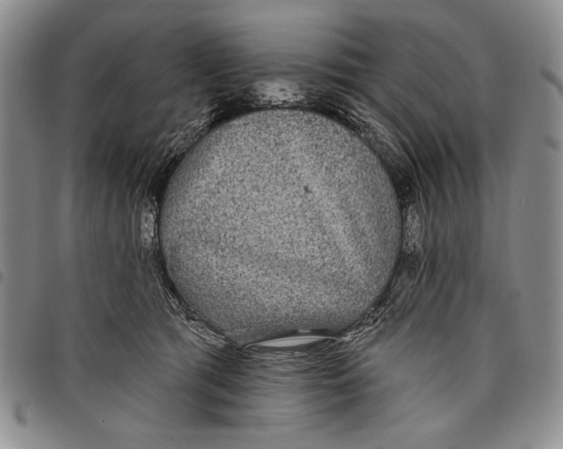 X0000097970417200804141057