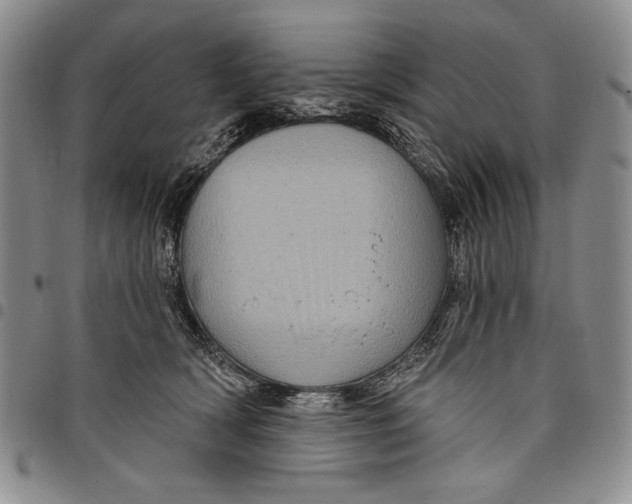 X0000097970418200804141057
