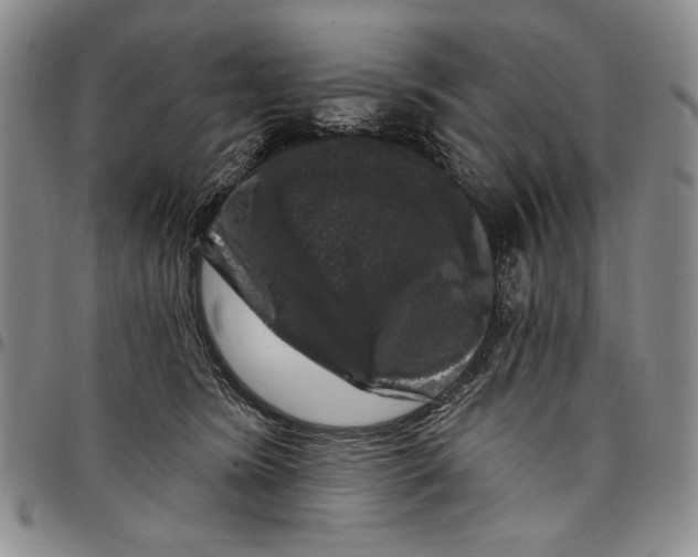 X0000097970420200804141057