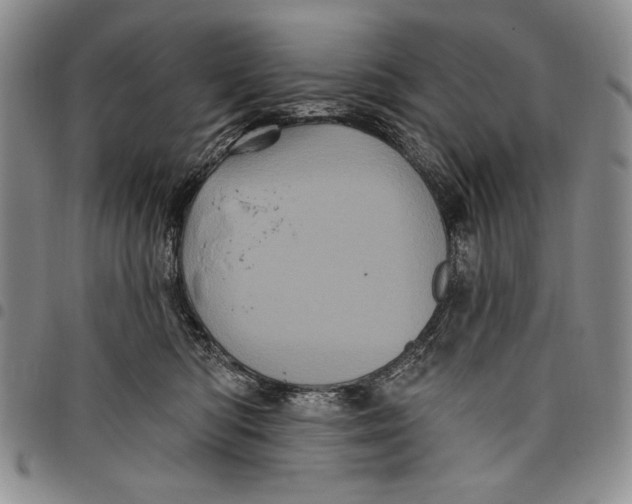 X0000097970422200804141057
