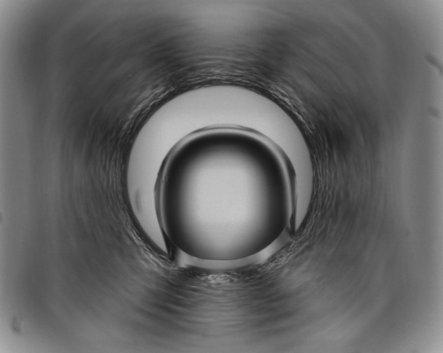 X0000097970423200804141057