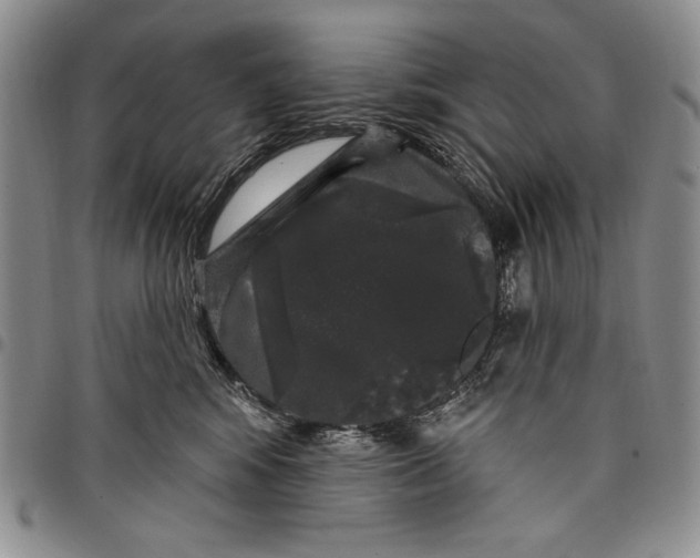 X0000097970424200804141057