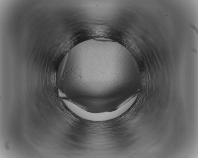 X0000097970425200804141057
