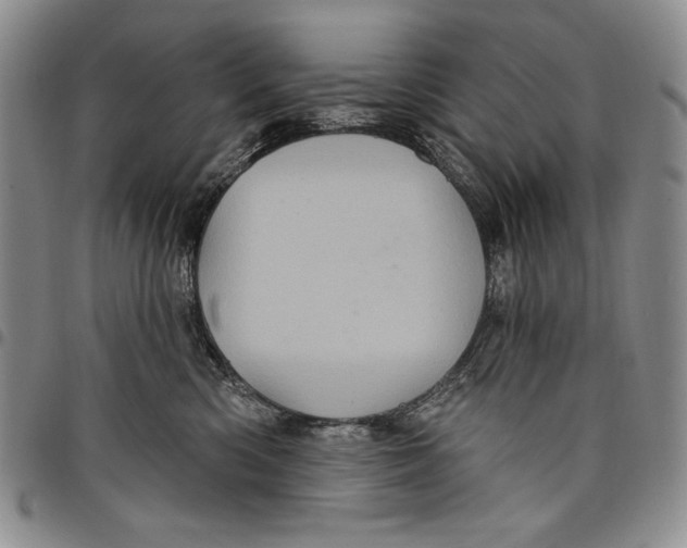 X0000097970426200804141057
