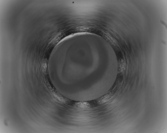 X0000097970427200804141057