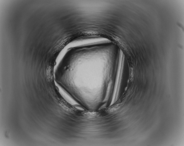 X0000097970428200804141057
