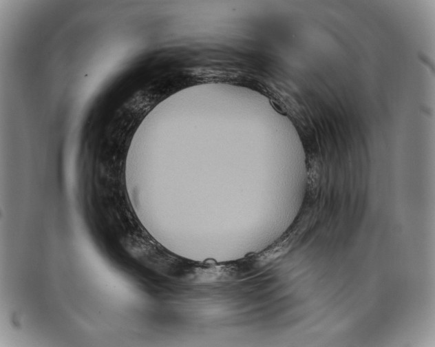 X0000097970430200804141057