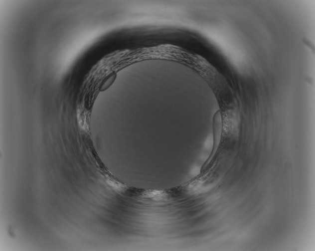 X0000097970431200804141057