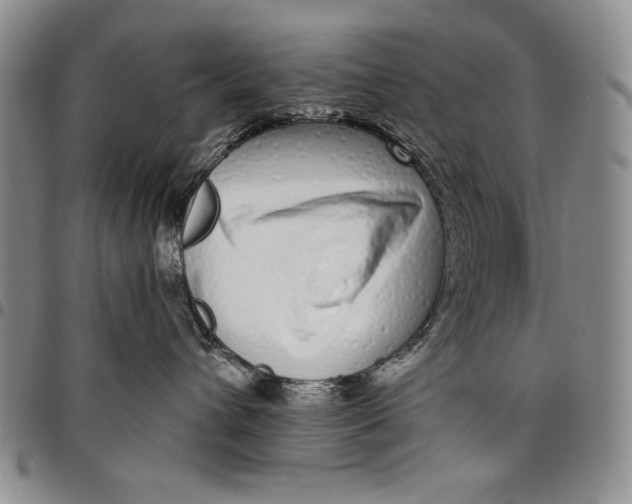 X0000097970432200804141057