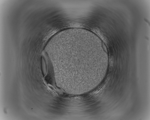 X0000097970433200804141056