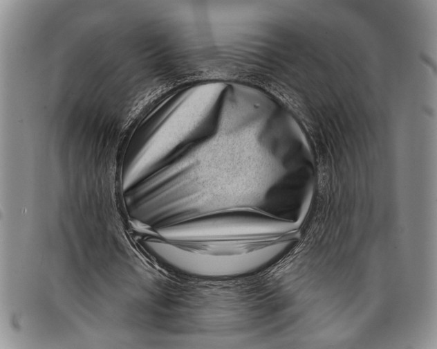 X0000097970434200804141056