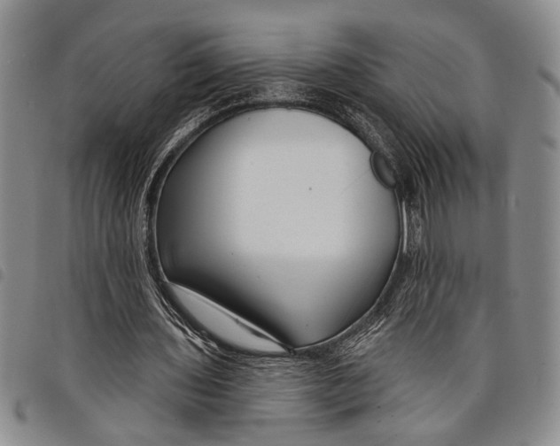 X0000097970435200804141056