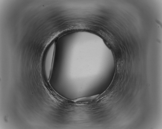 X0000097970436200804141056