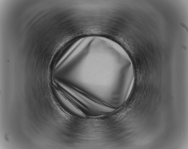 X0000097970439200804141056