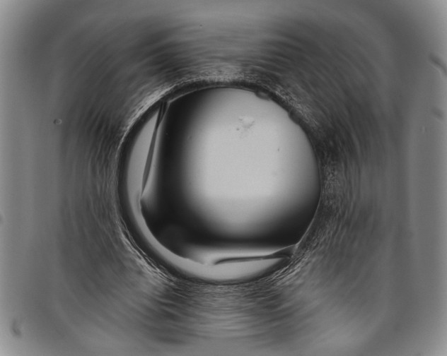 X0000097970440200804141056