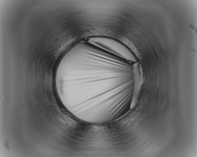 X0000097970442200804141056
