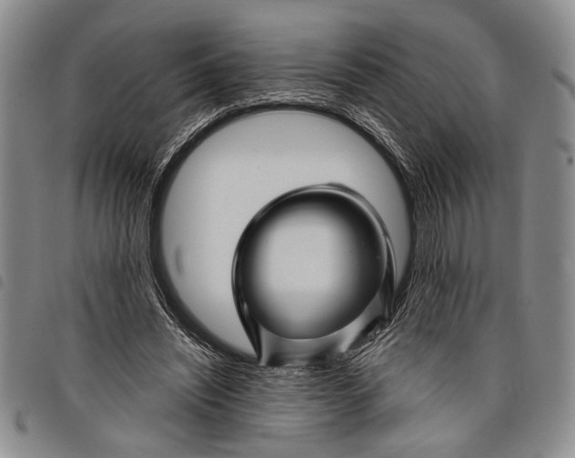 X0000097970444200804141056