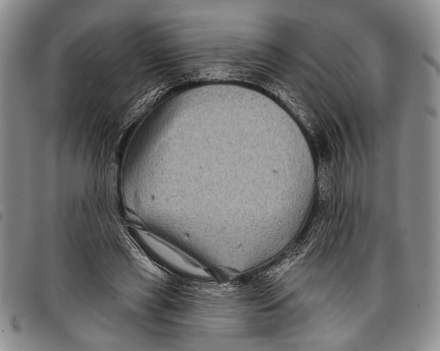 X0000097970445200804141056
