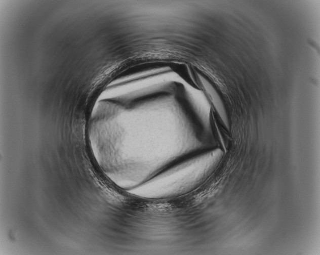 X0000097970446200804141057